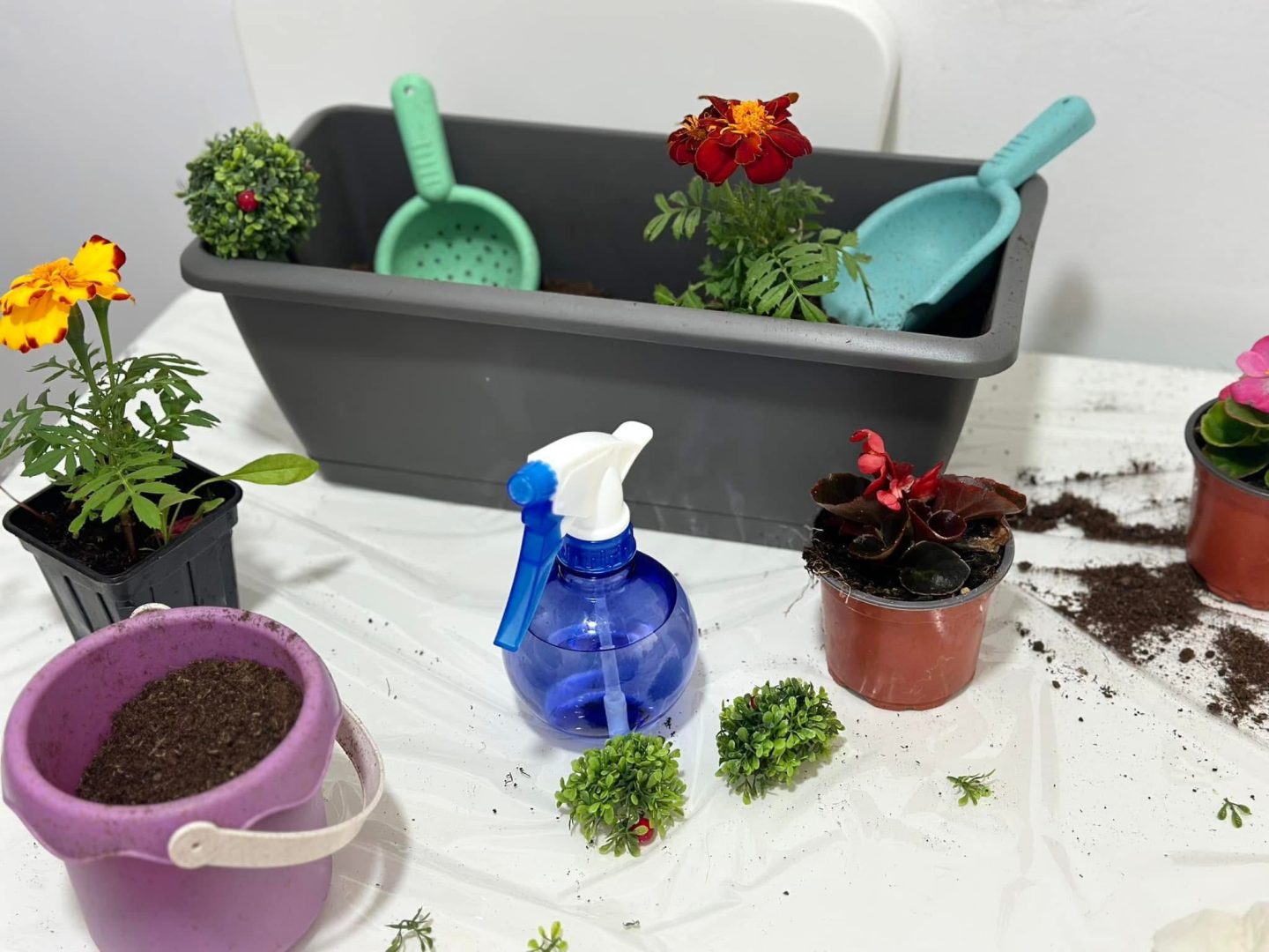 Asociația Psiho Special: programe pentru autism cu Karla Ana Maria Grigore și Marius Cătălin Grigore 9 Asociația Psiho Special: programe pentru autism cu Karla Ana Maria Grigore și Marius Cătălin Grigore